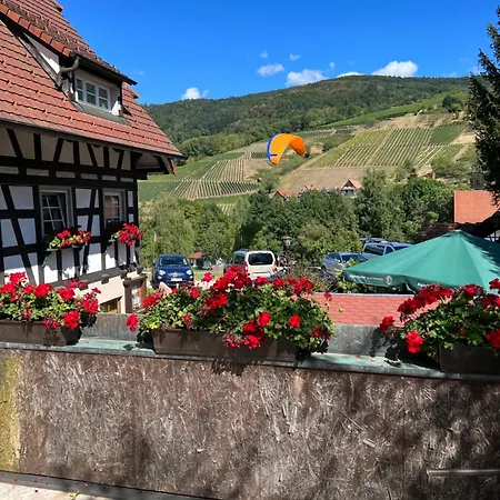 Ferienwohnung Zwischen Schwarzwald Und Elsass * Kuppenheim