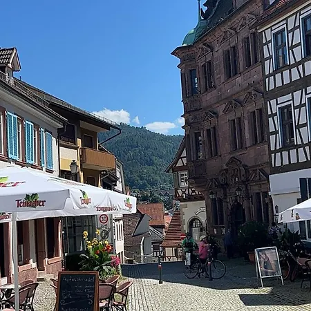 Ferienwohnung Zwischen Schwarzwald Und Elsass Apartamento